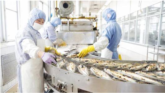 食品厂除尘系统的优化方案与日用杂品生产应用实践